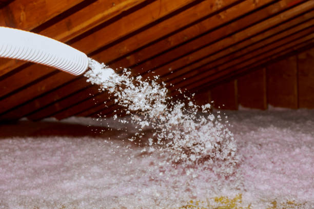 Best Energy Efficiency Insulation in Larimore, ND