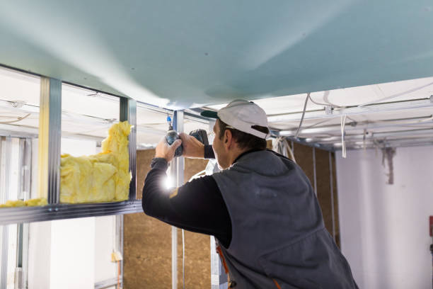 Types of Insulation We Offer in Larimore, ND