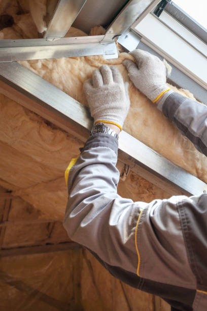 Best Geographic-Specific Insulation Services in Larimore, ND