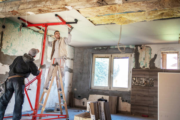 Best Insulation Maintenance and Repair in Larimore, ND