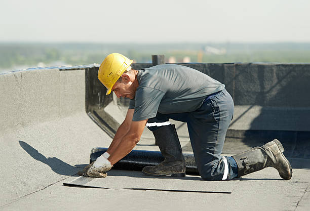 Best Specialized Insulation Services in Larimore, ND