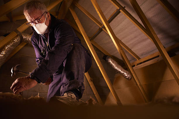 Best Spray Foam Insulation in Larimore, ND