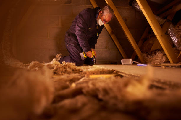 Best Commercial Insulation in Larimore, ND
