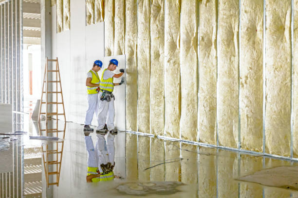 Best Commercial Insulation in Larimore, ND